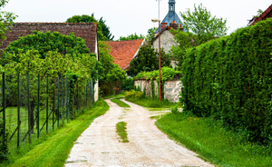 Couvreur Nogent-sur-Marne